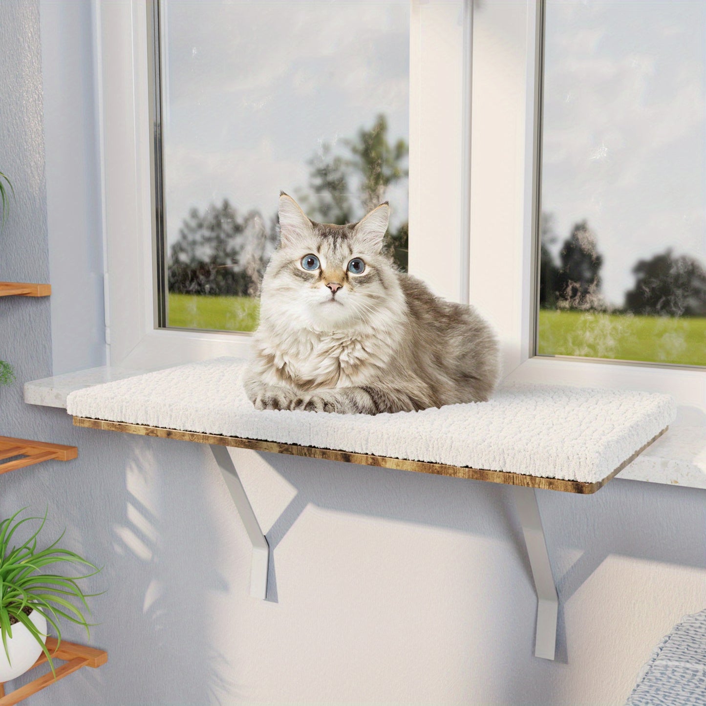 Cat Window Perch, Cat Window Hammock with Steel Frame, Cat Bed Cat Hammock Window Seat with Soft Foam Pad for Indoor Cats, Pet Supplies, Pet Furniture, Cat Furniture