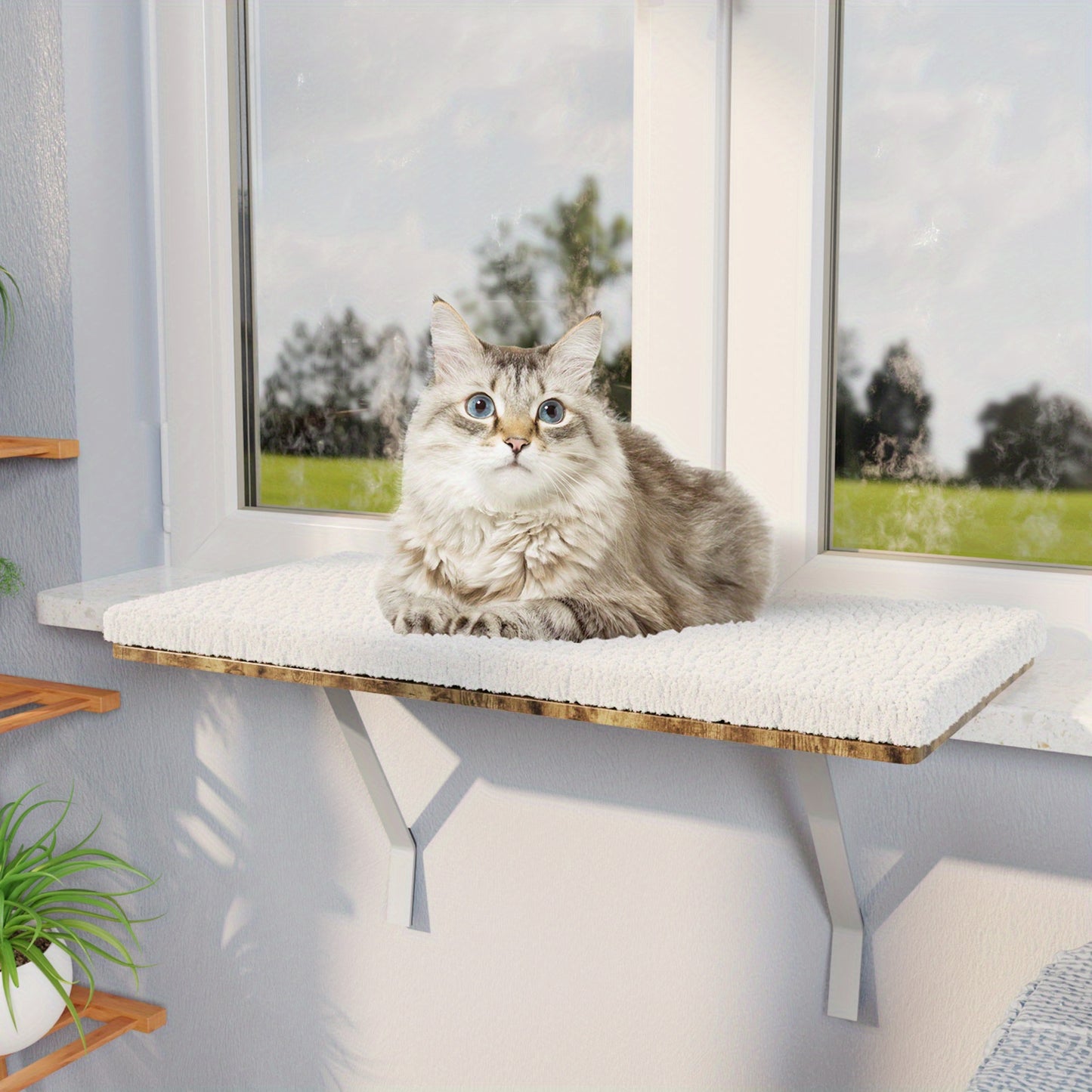Cat Window Perch, Cat Window Hammock with Steel Frame, Cat Bed Cat Hammock Window Seat with Soft Foam Pad for Indoor Cats, Pet Supplies, Pet Furniture, Cat Furniture